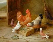 unknow artist Cocks 107 china oil painting reproduction